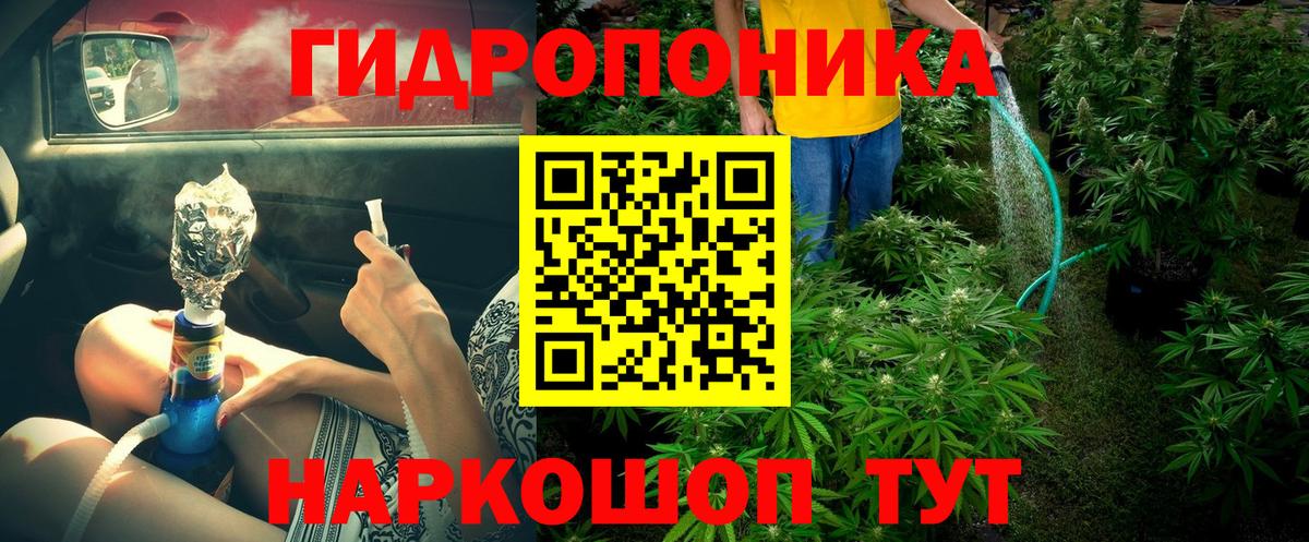 Канабис конопля  Вход с VPN  Щёлково  Бошки марихуана Bruce Banner  Бошки Шишки Ganja 